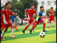 印尼VS阿曼直播_印尼VS阿曼直播观看免费_印尼VS阿曼